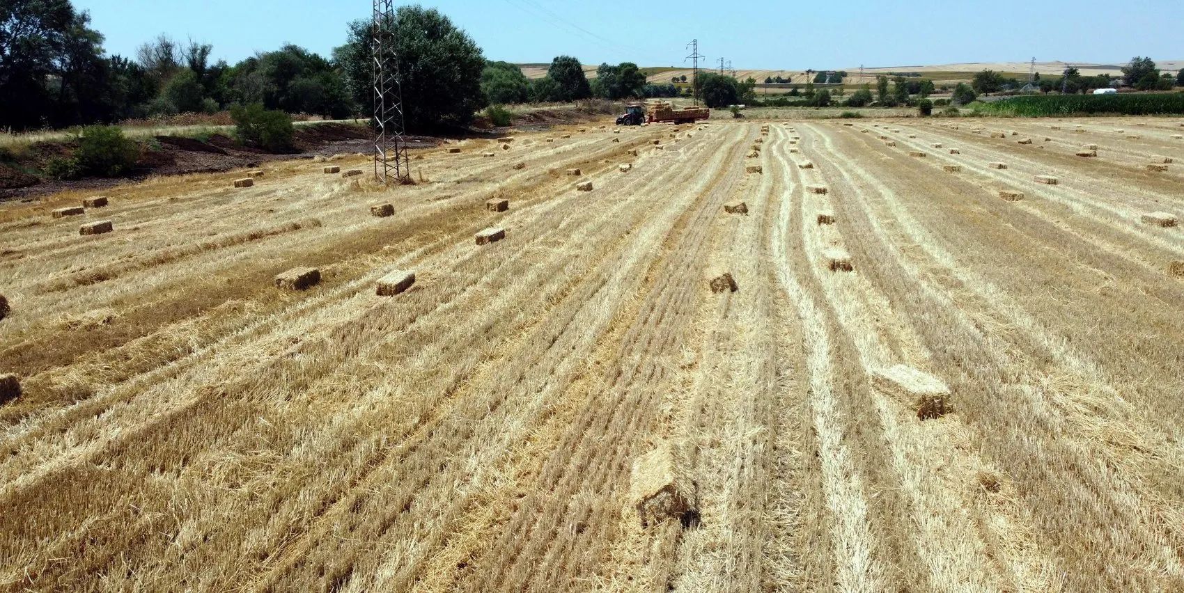 Tekirdağ'da yangın riski nedeniyle bazı faaliyetler yasaklandı