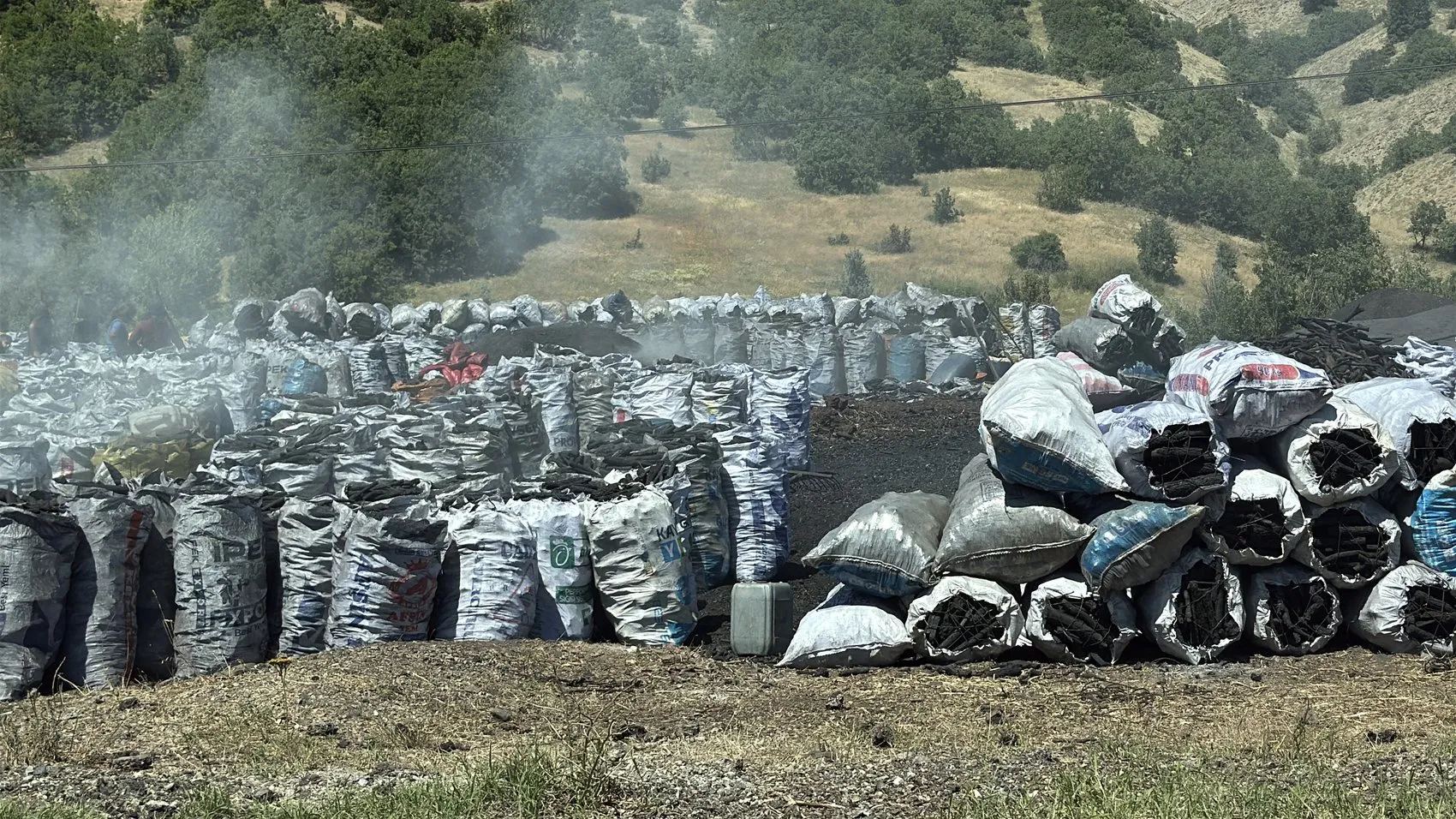 Sivas'ta mangal kömürü dumanı hayvancılığı bitirdi