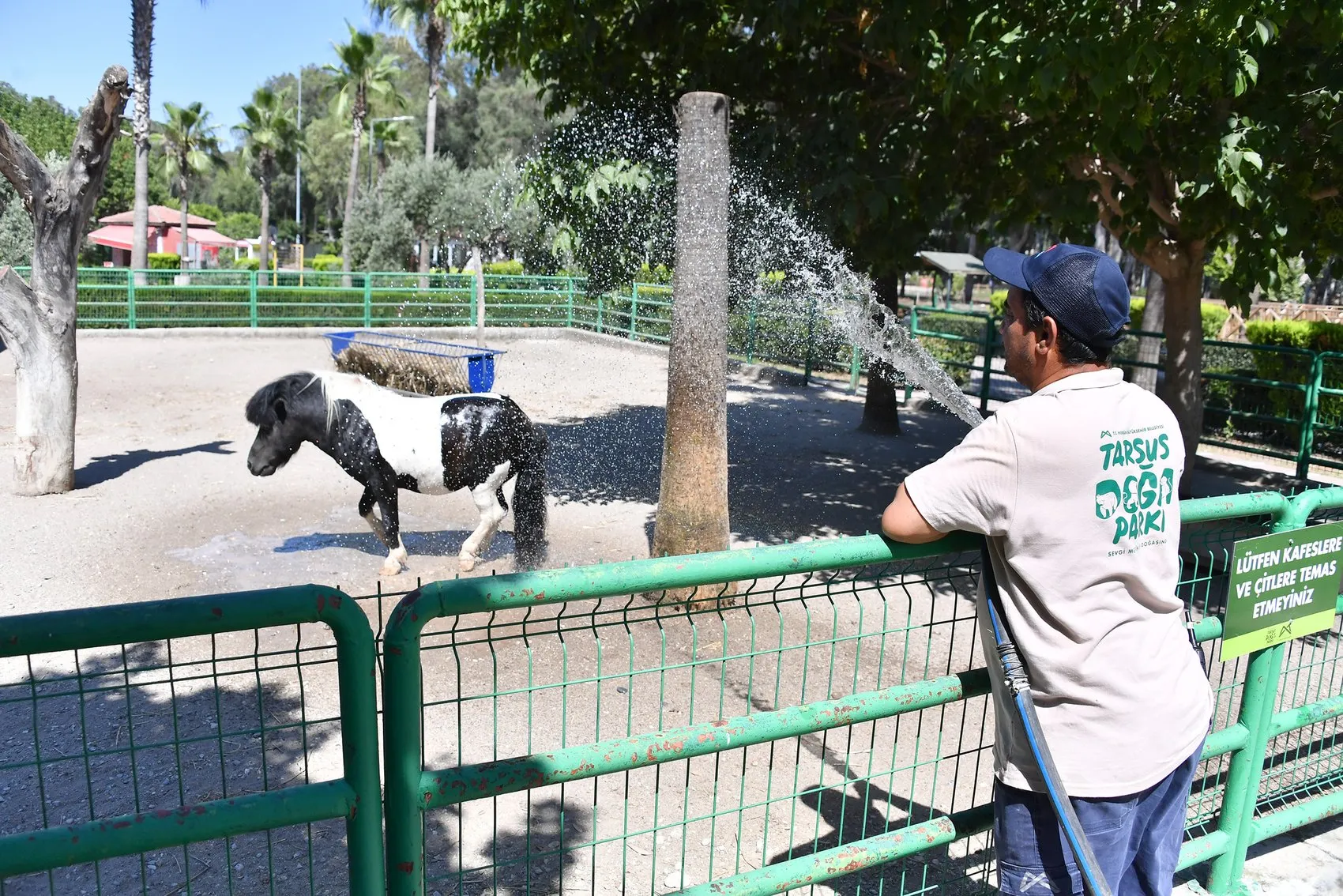 Mersin'de hayvanlar için buzlu meyve dönemi başladı