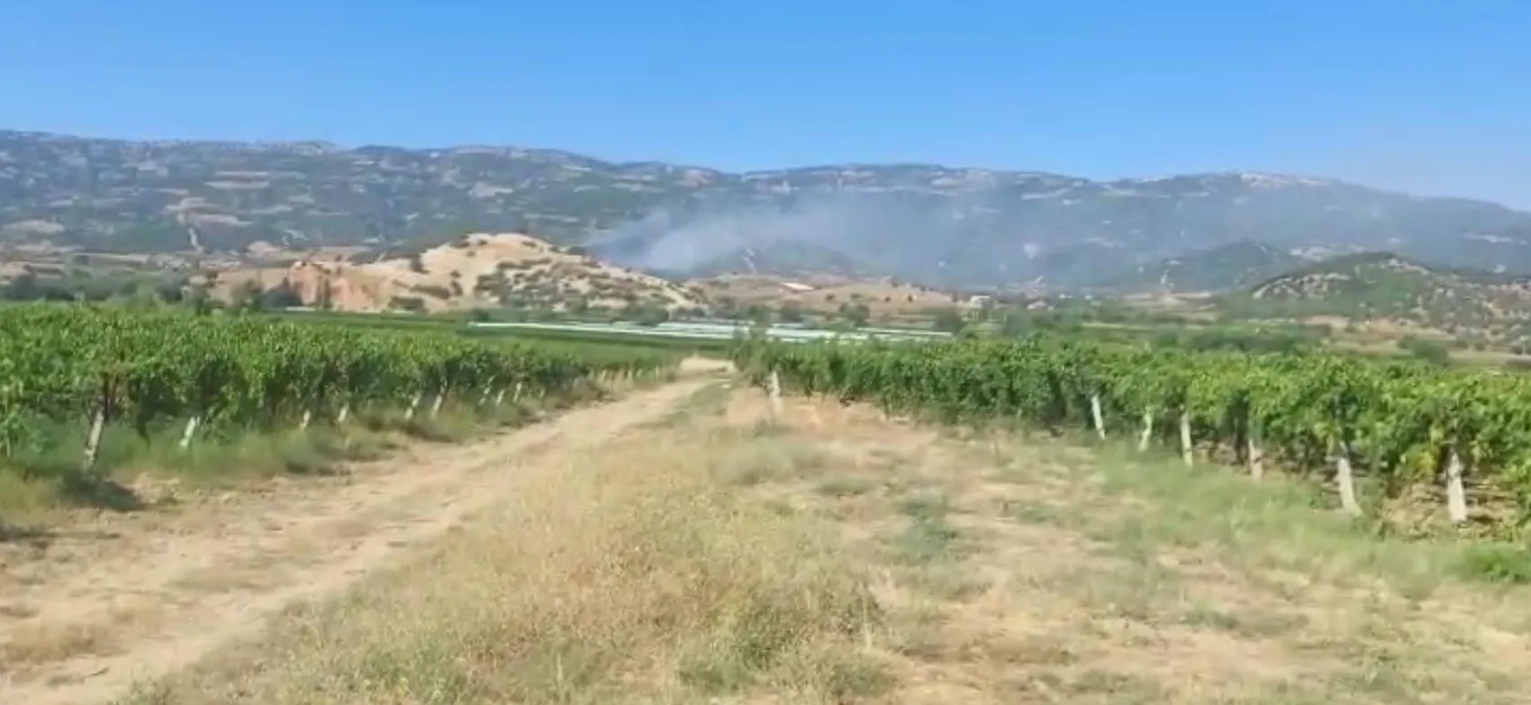 Manisa Sarıgöl'de ormanlık alanda yangın alarmı