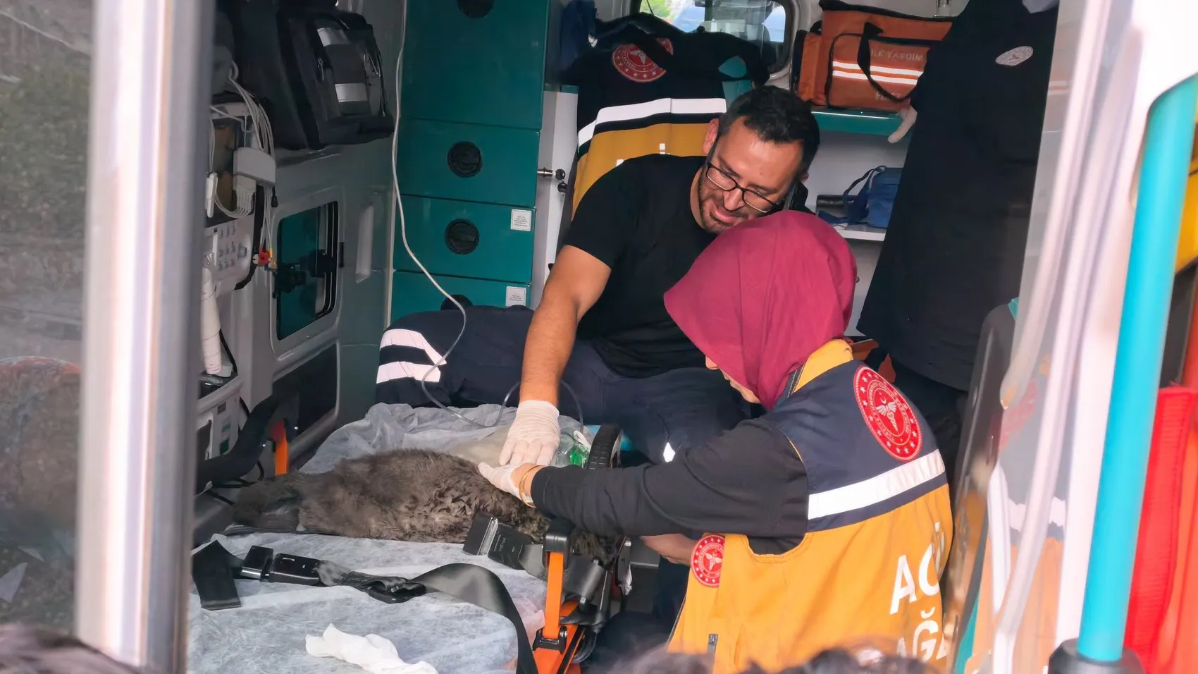 İnegöl'de yanan evdeki kedilere itfaiye ekipleri kalp masajı yaptı