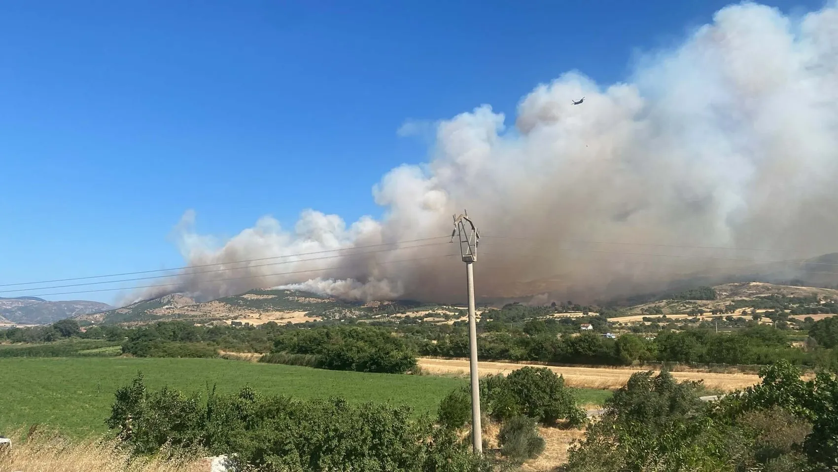 Çanakkale Saraycık köyü yakınlarında orman yangını başladı