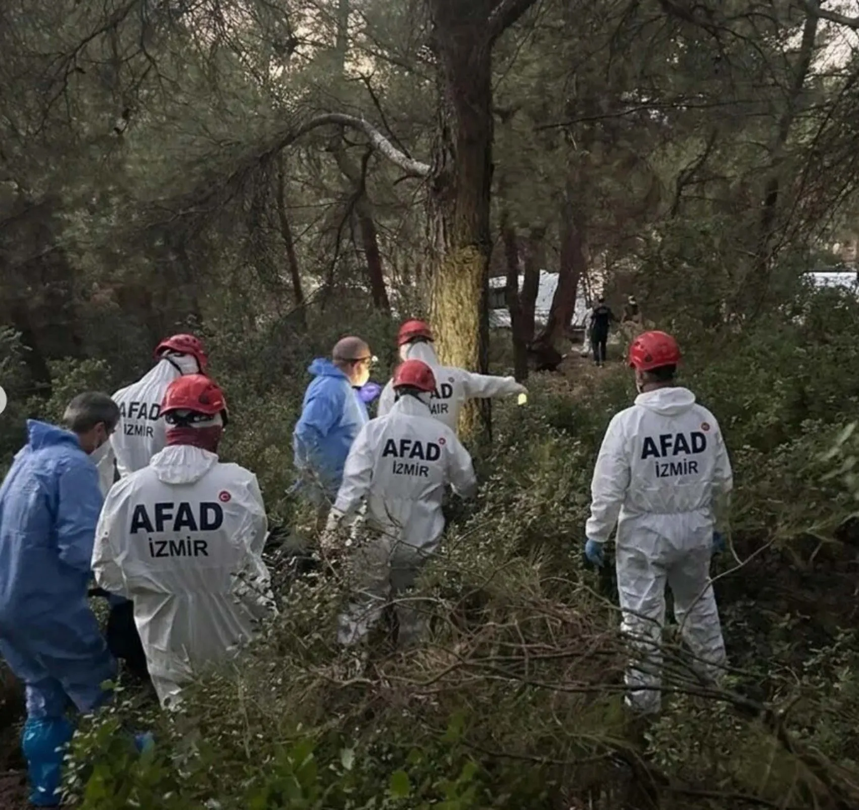 Kayıp olarak aranan 31 yaşındaki Ertan Kaleli ormanda ölü bulundu