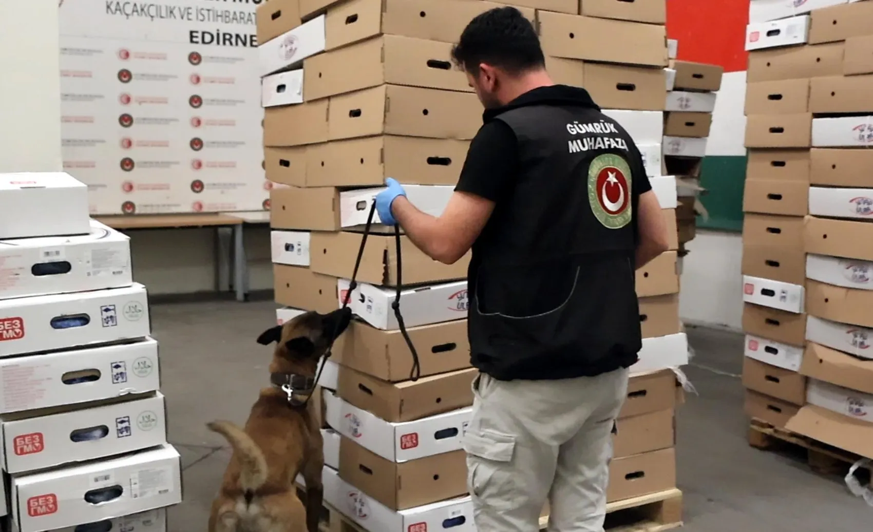 Kapıkule’de dondurulmuş tavukların arasında yarım ton uyuşturucu yakalandı