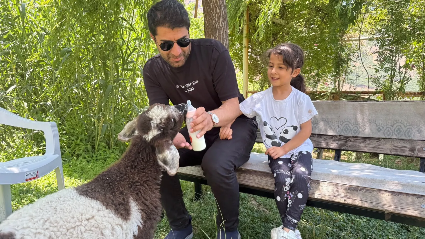 Şemdinli'de bir kuzunun sıra dışı yaşam yolculuğu