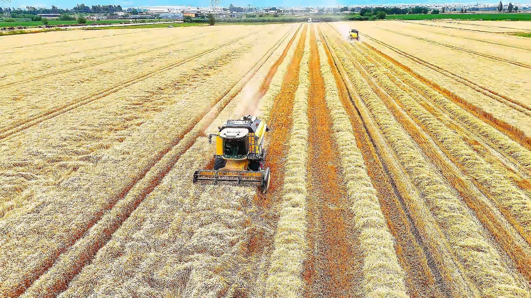 Osmaniye dağlarında teknoloji durdu oraklar çalışıyor