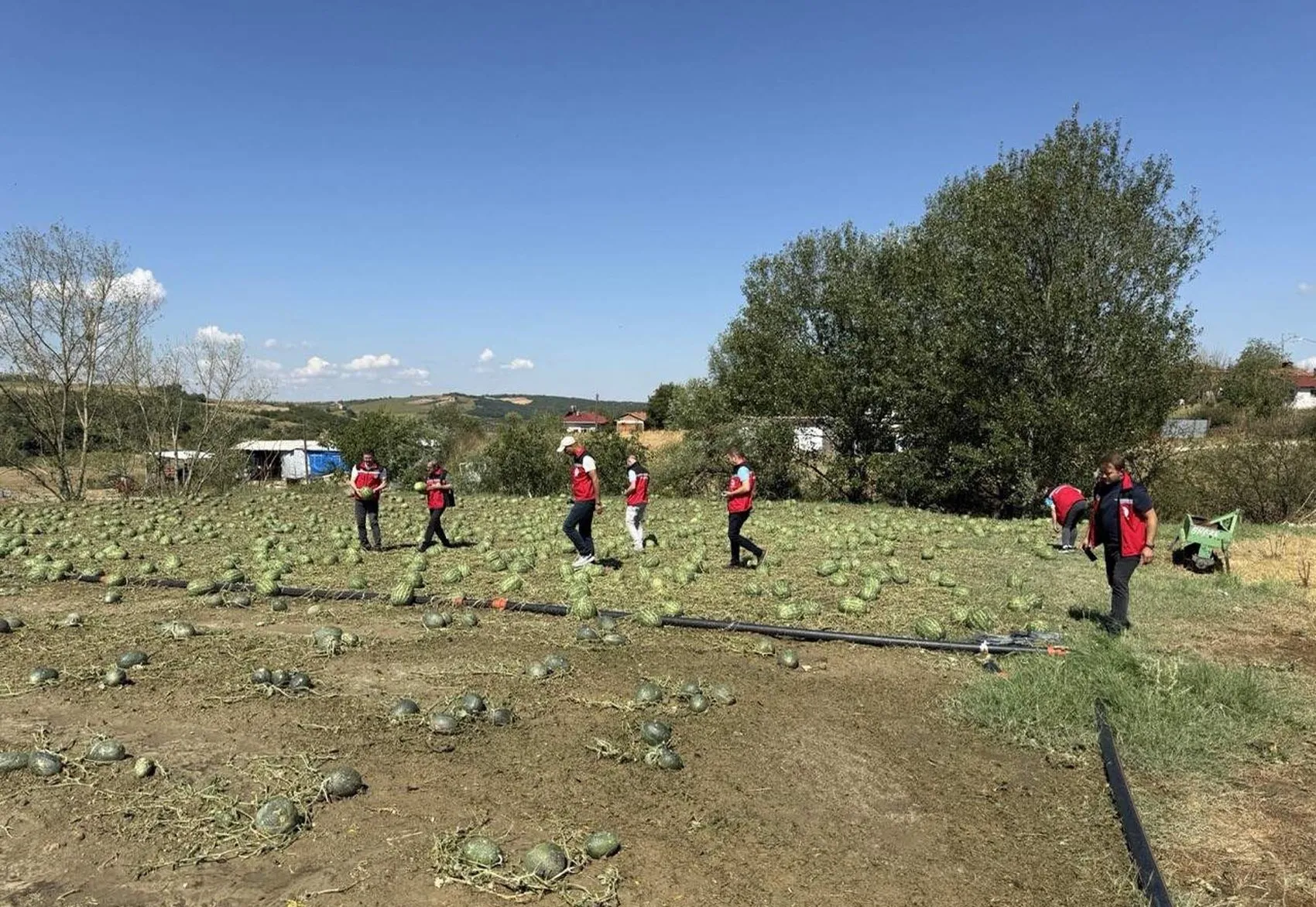 Tekirdağ'da dolu felaketi 35 bin dekar tarla zarar gördü