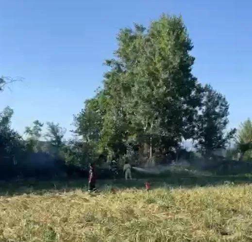 Taşköprü’de hasat zamanı korkutan yangın