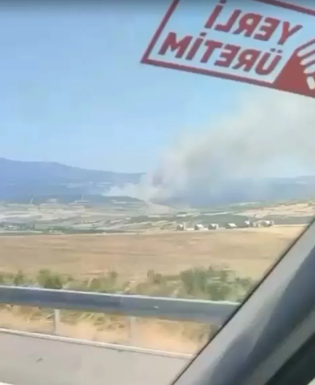 Susurluk ormanlarında dumanlar yükseliyor