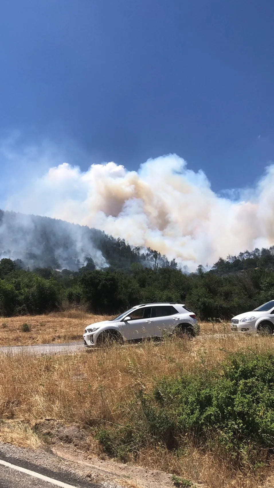 Balıkesir Kepsut alevlere teslim oldu