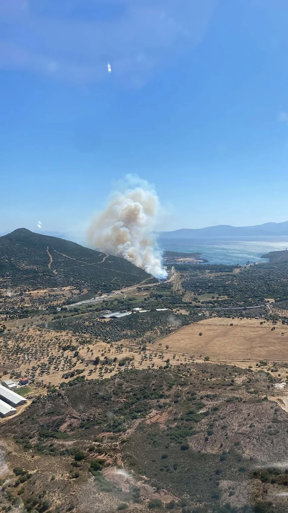 Foça ormanlarında yükselen dumanlar ekipleri harekete geçirdi