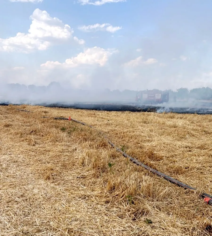 Kayseri'de tarım arazisinde yangın paniği
