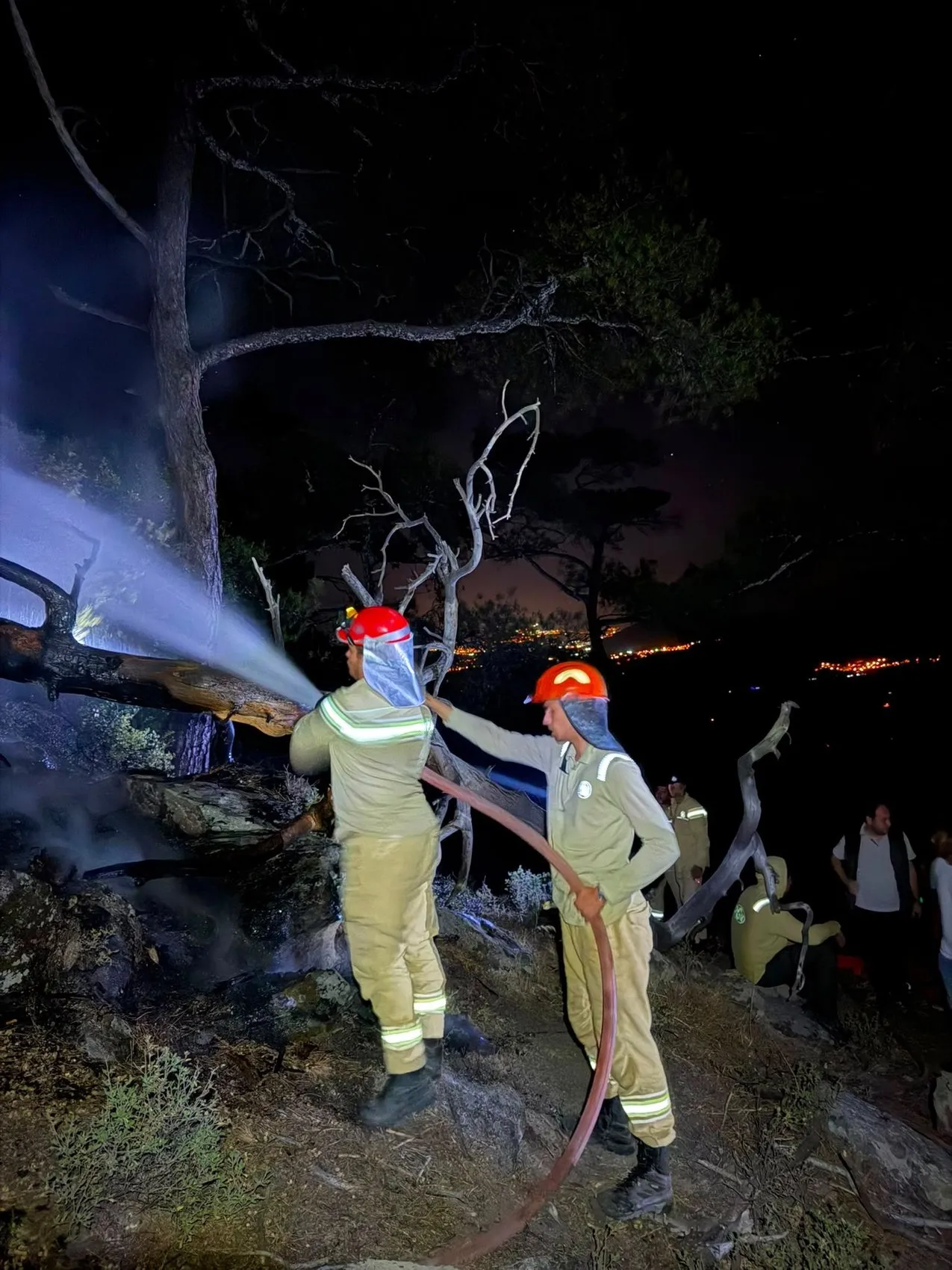 Muğla ormanlarında gece yarısı yangın paniği