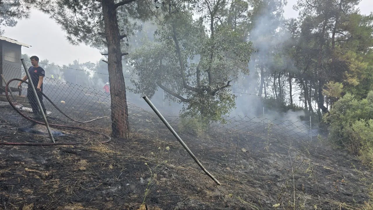 Mudanya'da bahçeden sıçrayan alevler dört dönümü küle çevirdi
