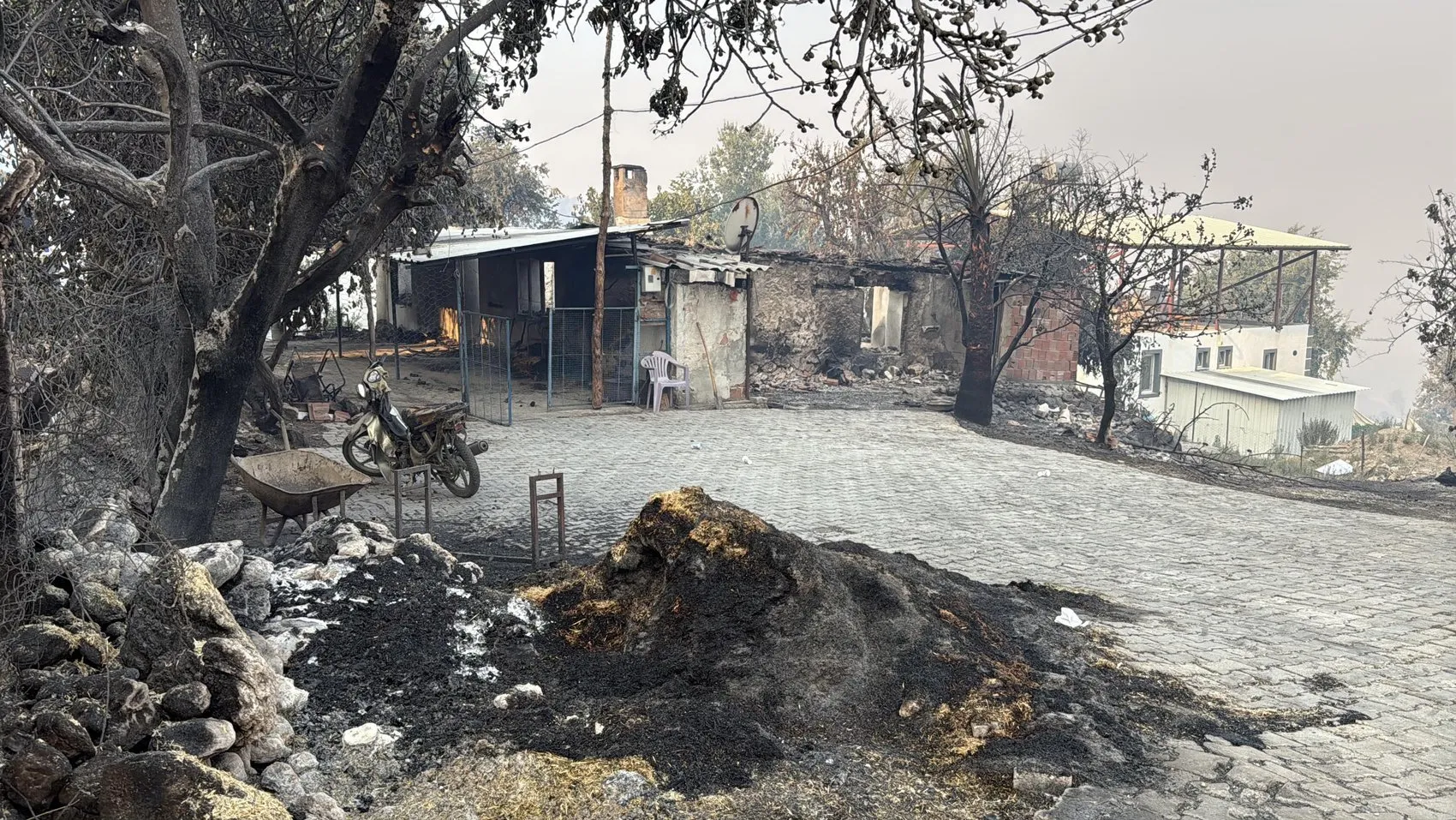 Seydikemer orman yangınında alevler evlere sıçradı