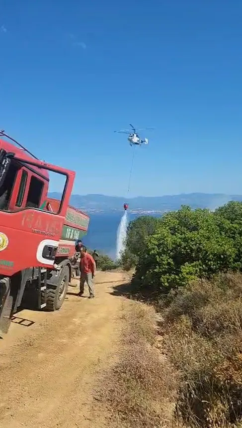Yalova ormanlarında çıkan yangın ekipleri harekete geçirdi
