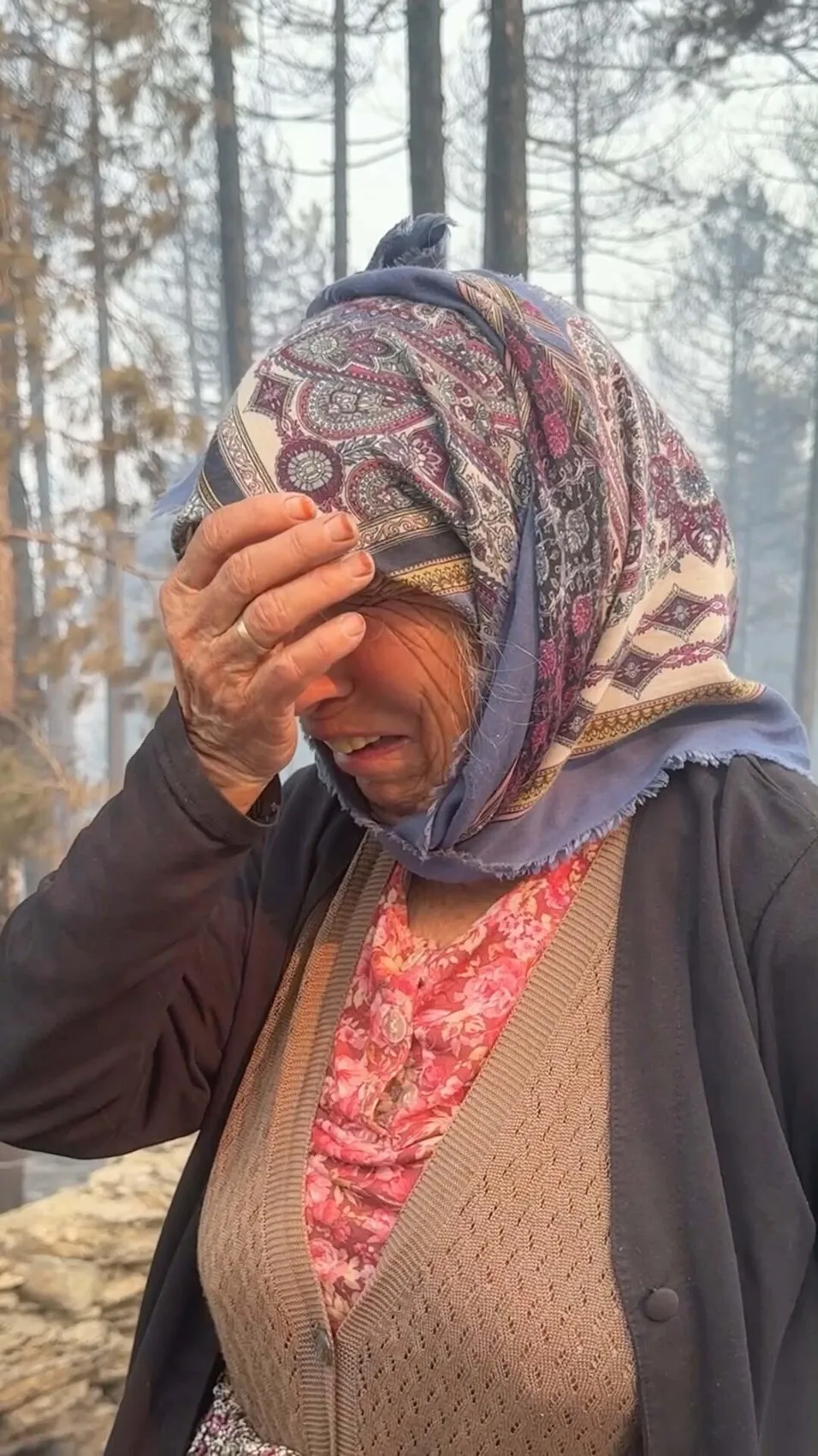 Aydın Çine’de orman yangını sürerken yürek yakan anlar yaşandı