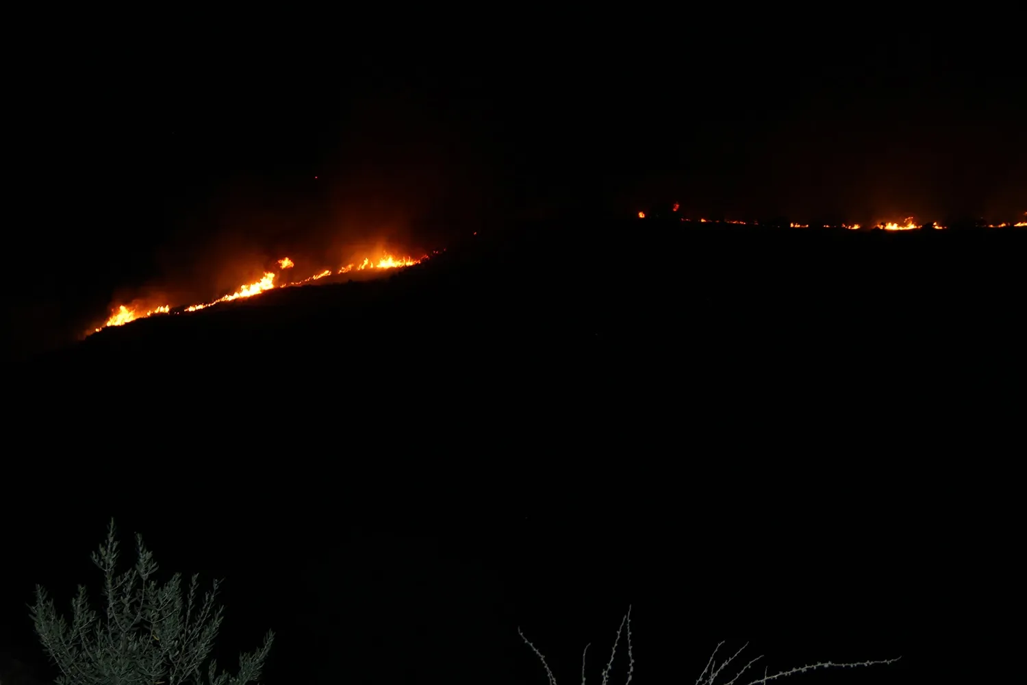 Manisa Kula'da makilik alanda çıkan yangın kontrol altına alındı
