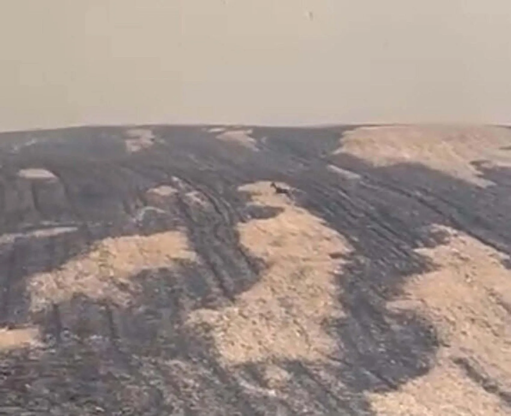 Çanakkale yangınından geriye kalan acı tablo