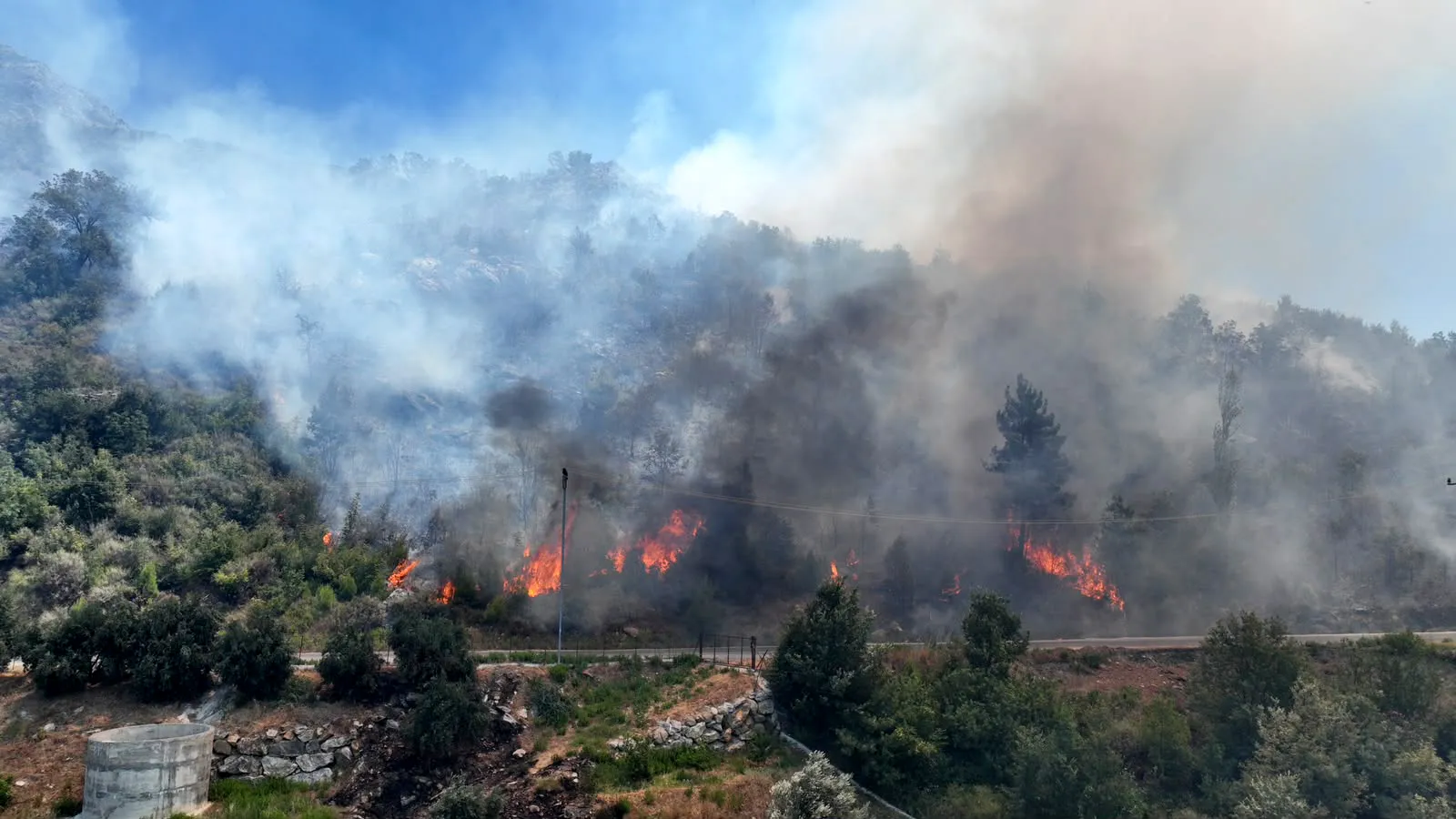 Alanya'da orman yangını ile mücadele ikinci gününde sürüyor