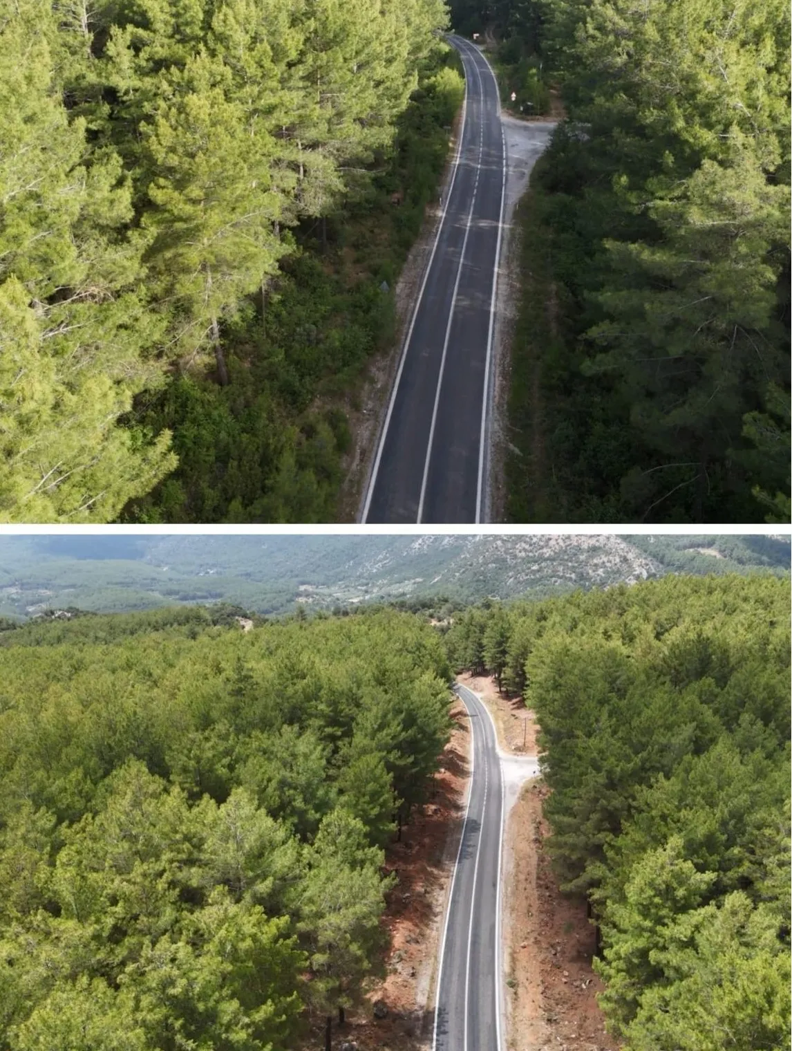Orman yollarında yangın temizliği tamamlandı