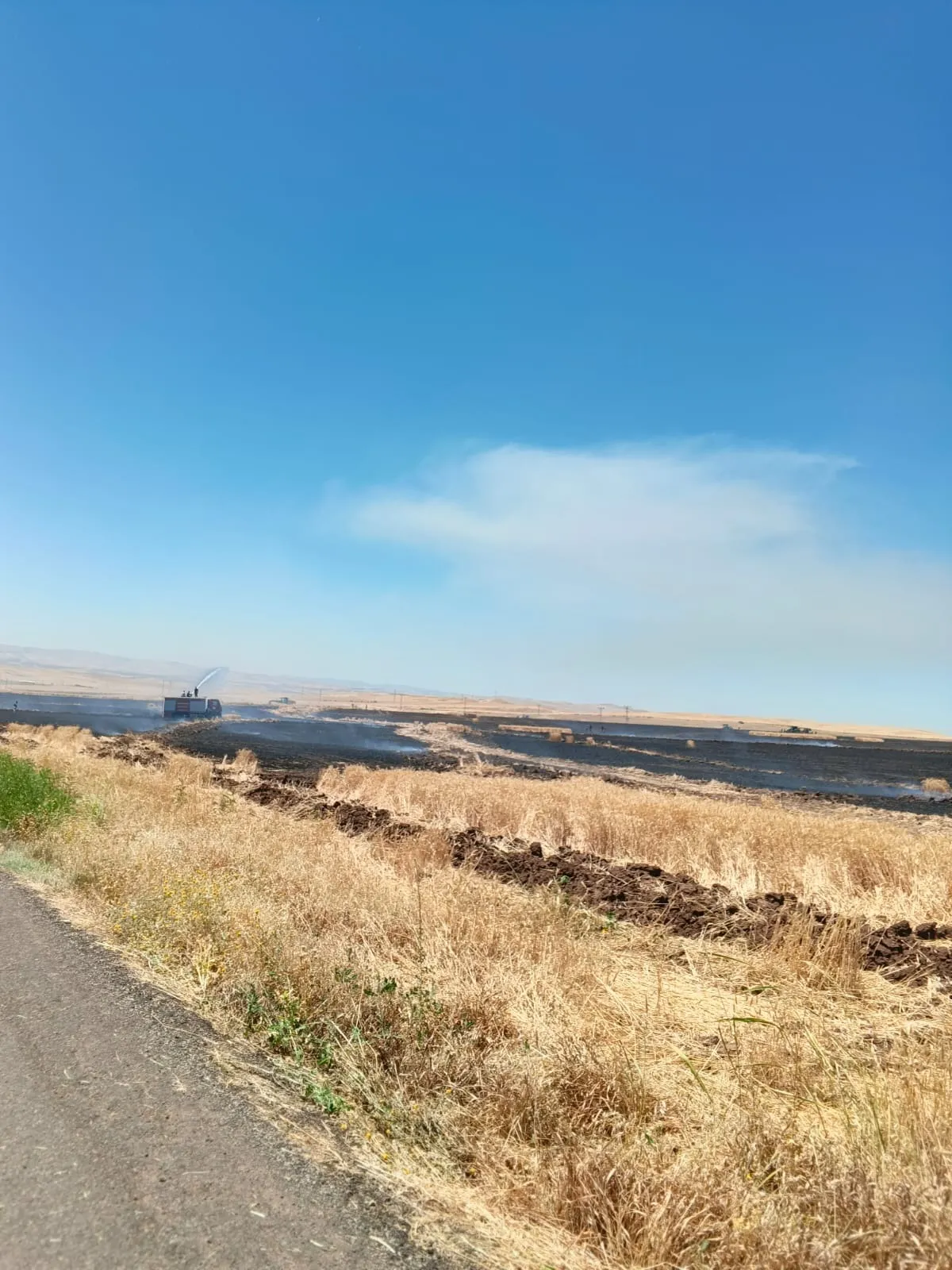 Siirt’te hasat bekleyen 800 dönüm buğday alevlere teslim oldu