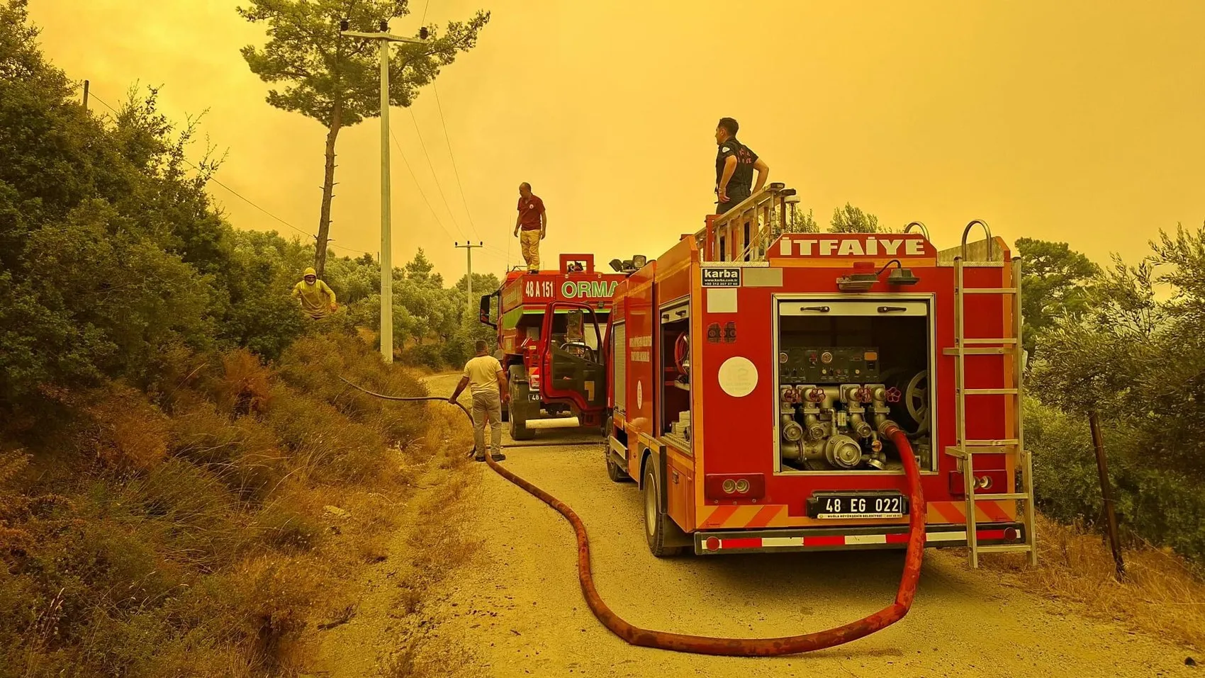 Muğla Seydikemer'de orman yangını paniği