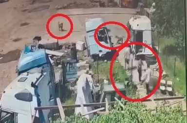Silopi'de köpek dehşeti Baba ve amca saniyelerle yarıştı