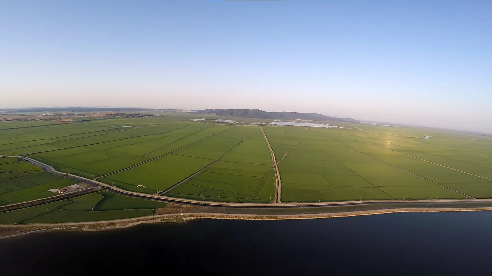 Edirne ovasında pirinç mesaisi yeşil bir tabloya dönüştü