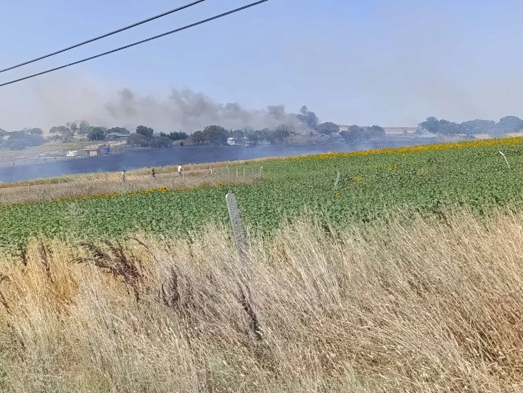 Silivri’de direk kesimi tarlaları küle çevirdi