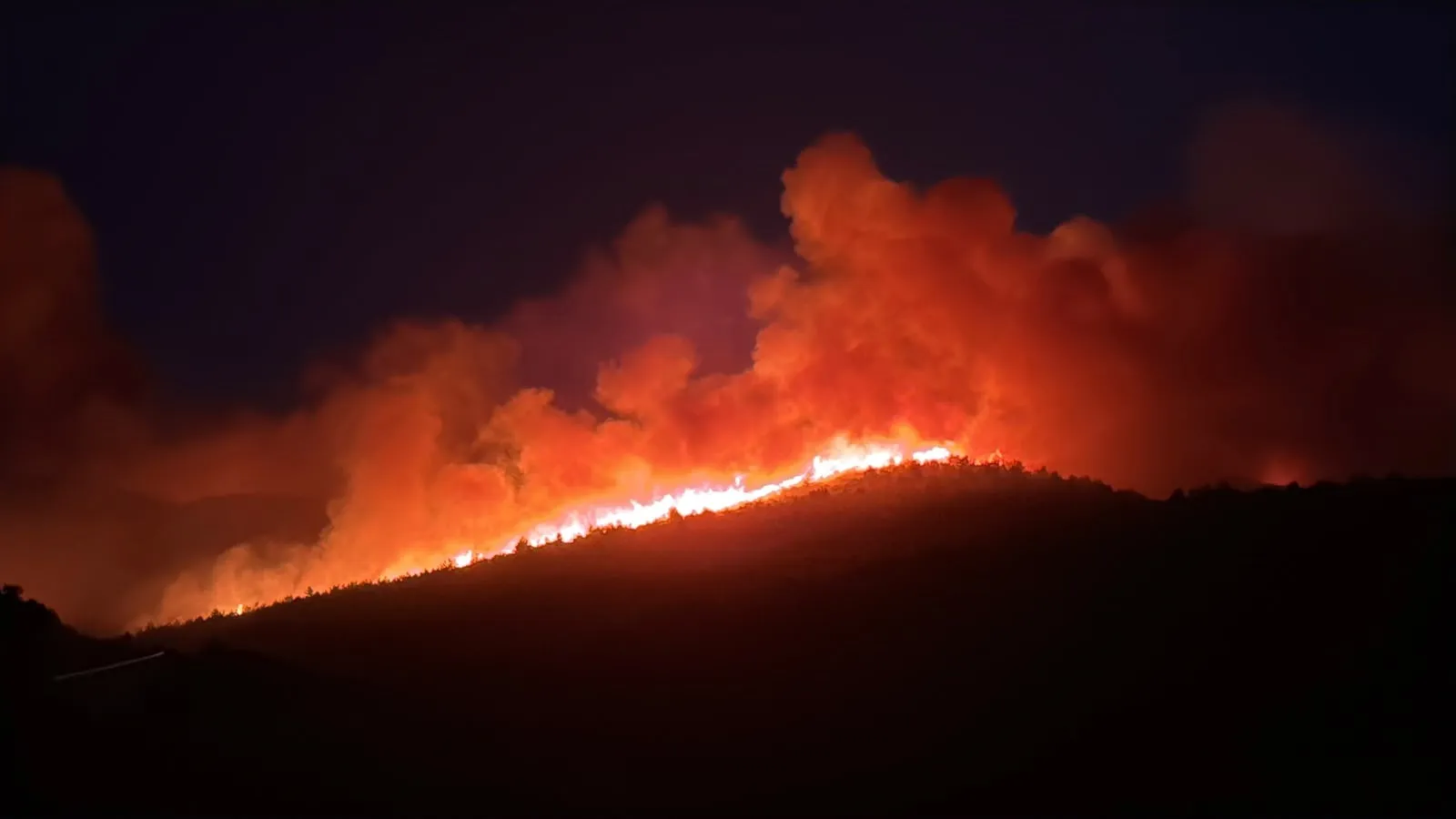 Milas alevlere teslim 1120 kişi bölgeden tahliye edildi