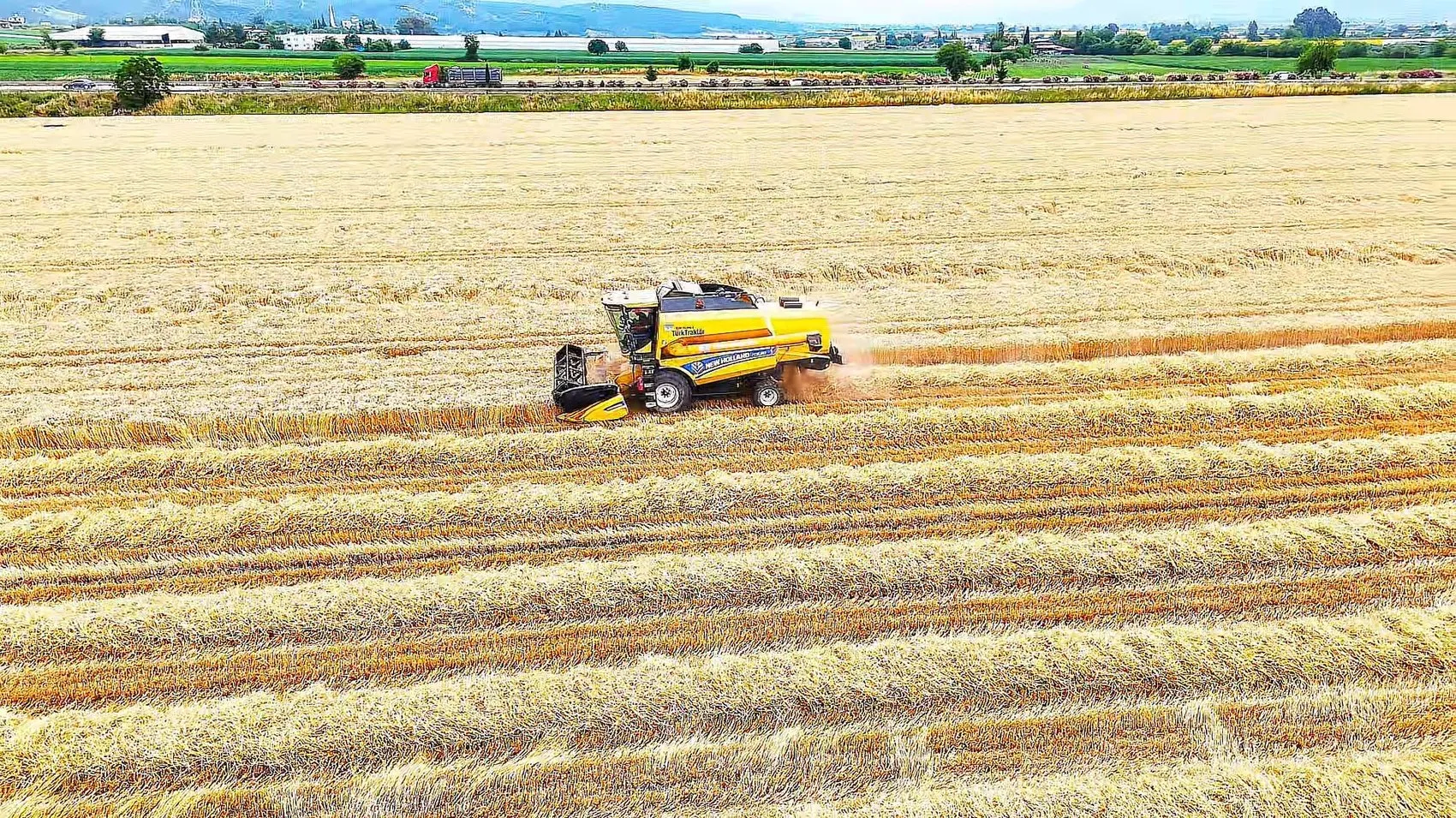 Osmaniye dağlarında teknoloji durdu oraklar çalışıyor