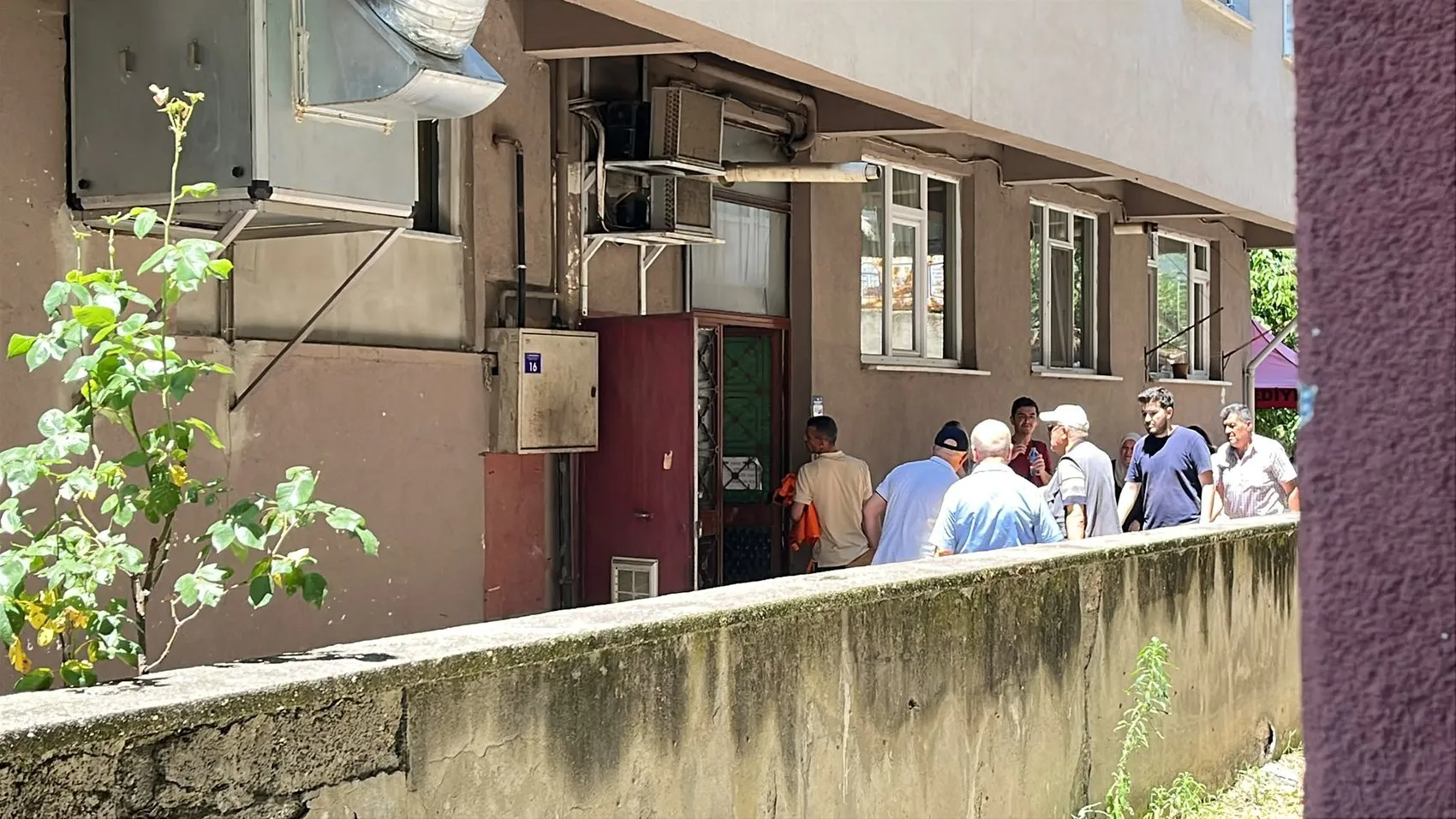Ihlamur toplarken ağaçtan düşen yaşlı adam evinde ölü bulundu