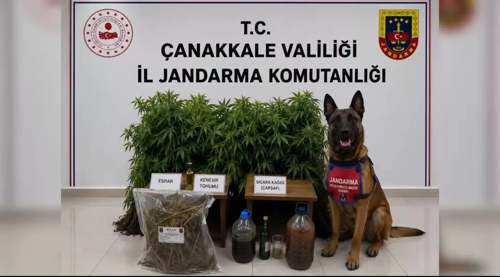 Türkiye genelinde zehir tacirlerine büyük darbe