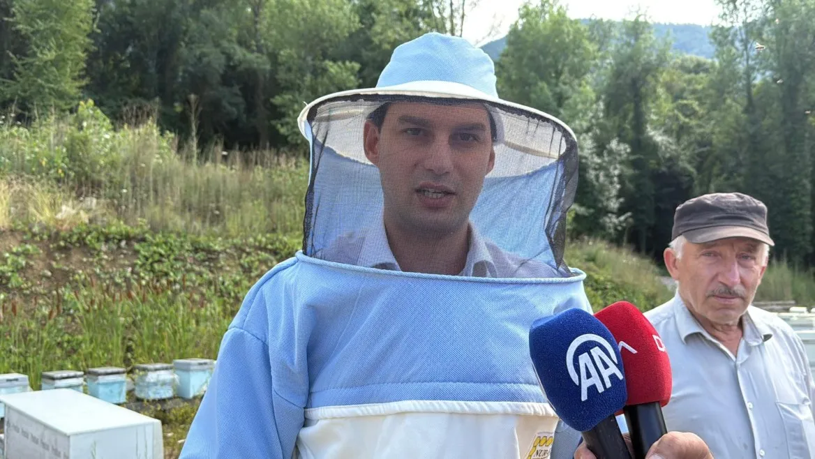 Avrupa tescilli Yenice ıhlamur balında sezon başladı