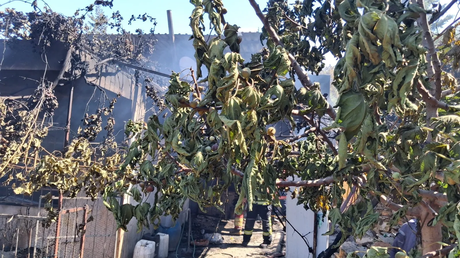 Mersin Aydıncık’taki orman yangını kontrol altına alındı