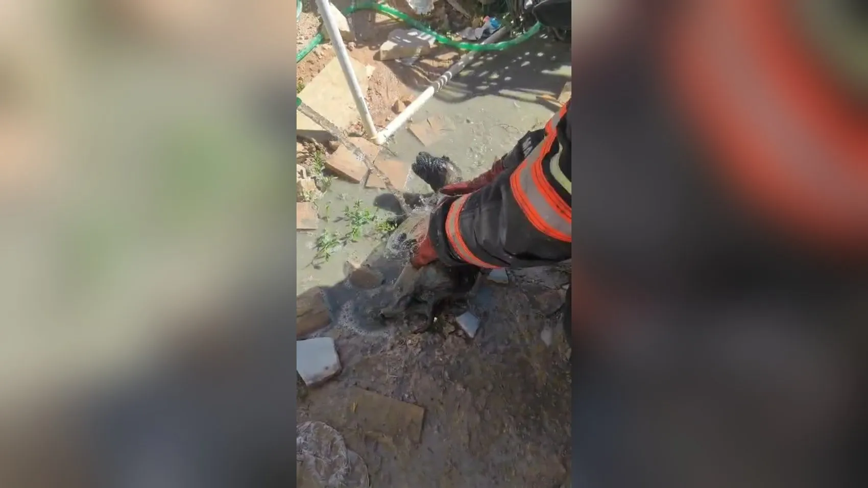Malatya’da inşaat alanında betona gömülen köpek yavrusu son anda kurtarıldı