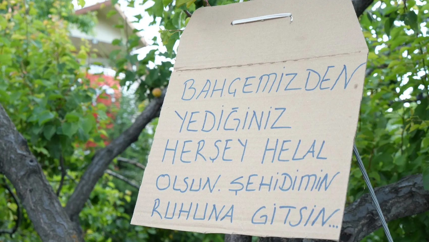 15 Temmuz şehidinin babasından evlatları için anlamlı vasiyet