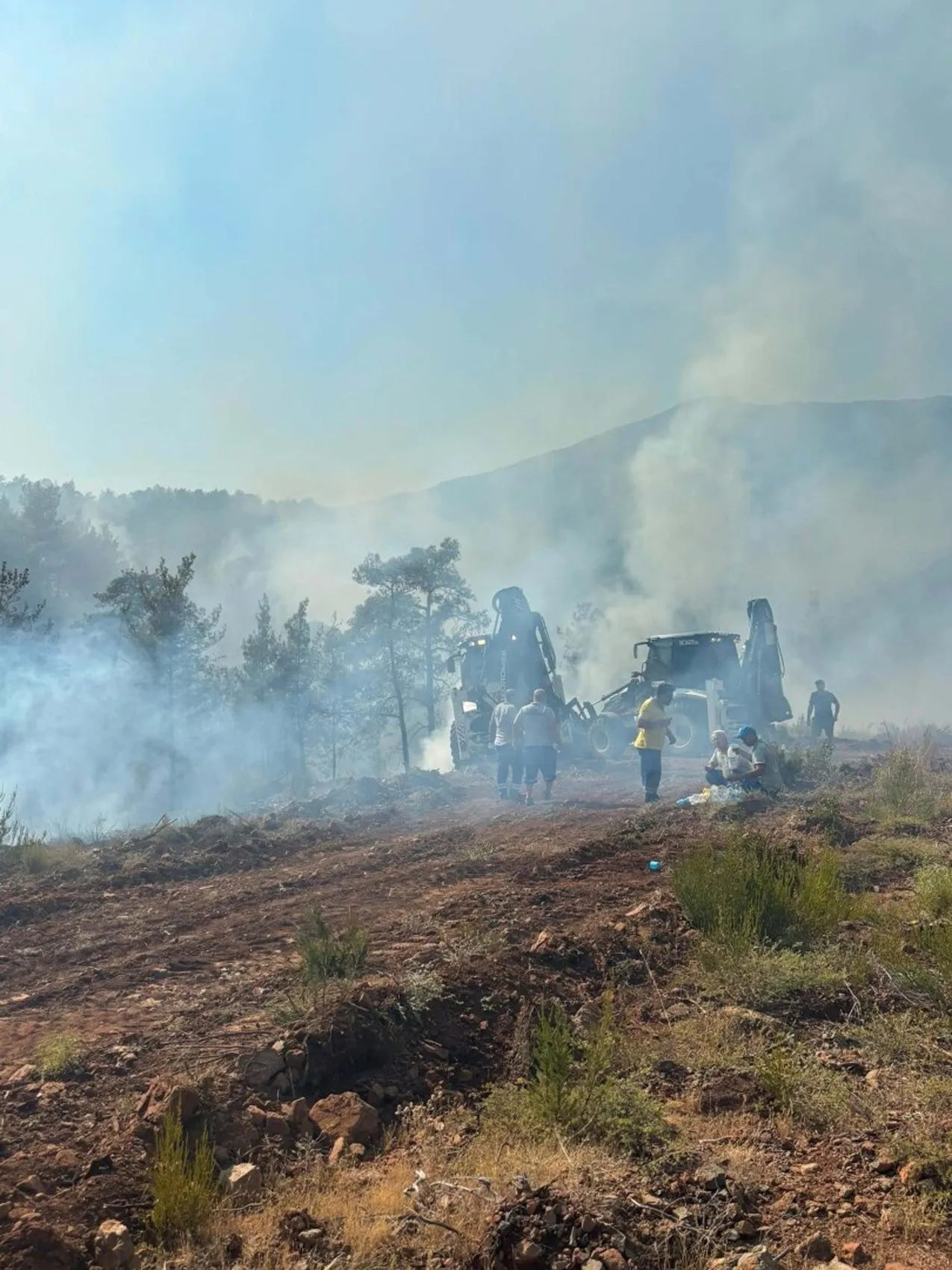 Fethiye ormanlarında rüzgar yangını yeniden tetikledi