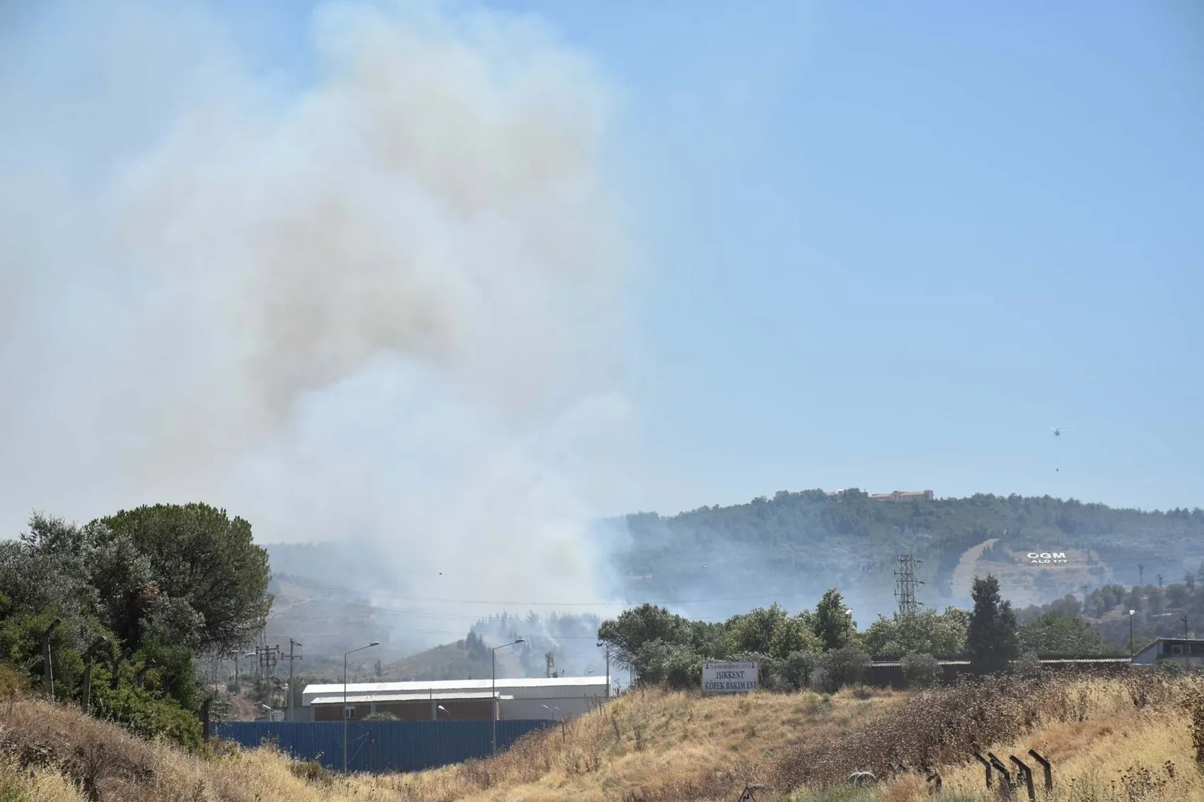 İzmir'de ot yangını ormana sıçradı