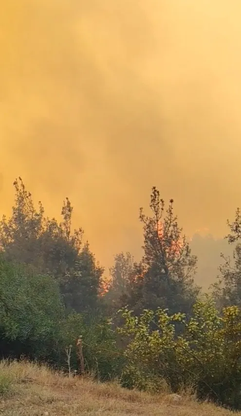 Susurluk'ta orman yangını evlere yaklaştı