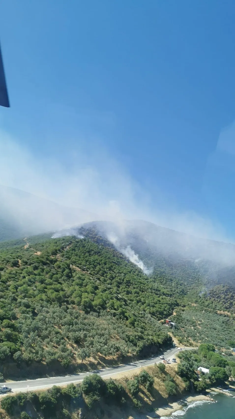 Yalova ormanlarında çıkan yangın ekipleri harekete geçirdi