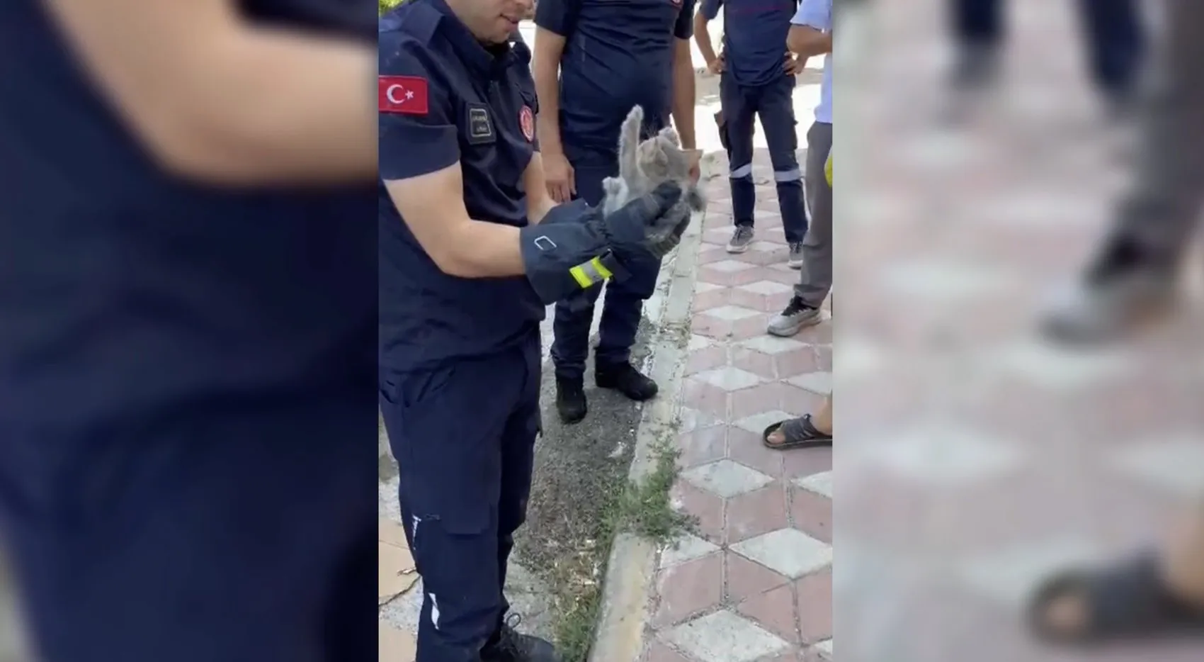 Adıyaman'da park halindeki otomobilin motoruna sıkışan kedi kurtarıldı