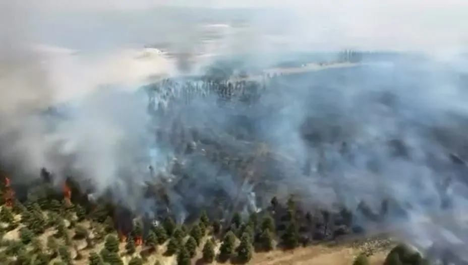 Yenimahalle’de otluk alanda korkutan yangın