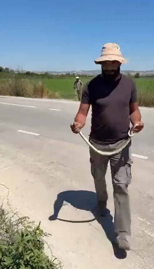 İnegöllü çiftçi traktörle çalışırken karşılaştığı yılanı elleriyle kurtardı