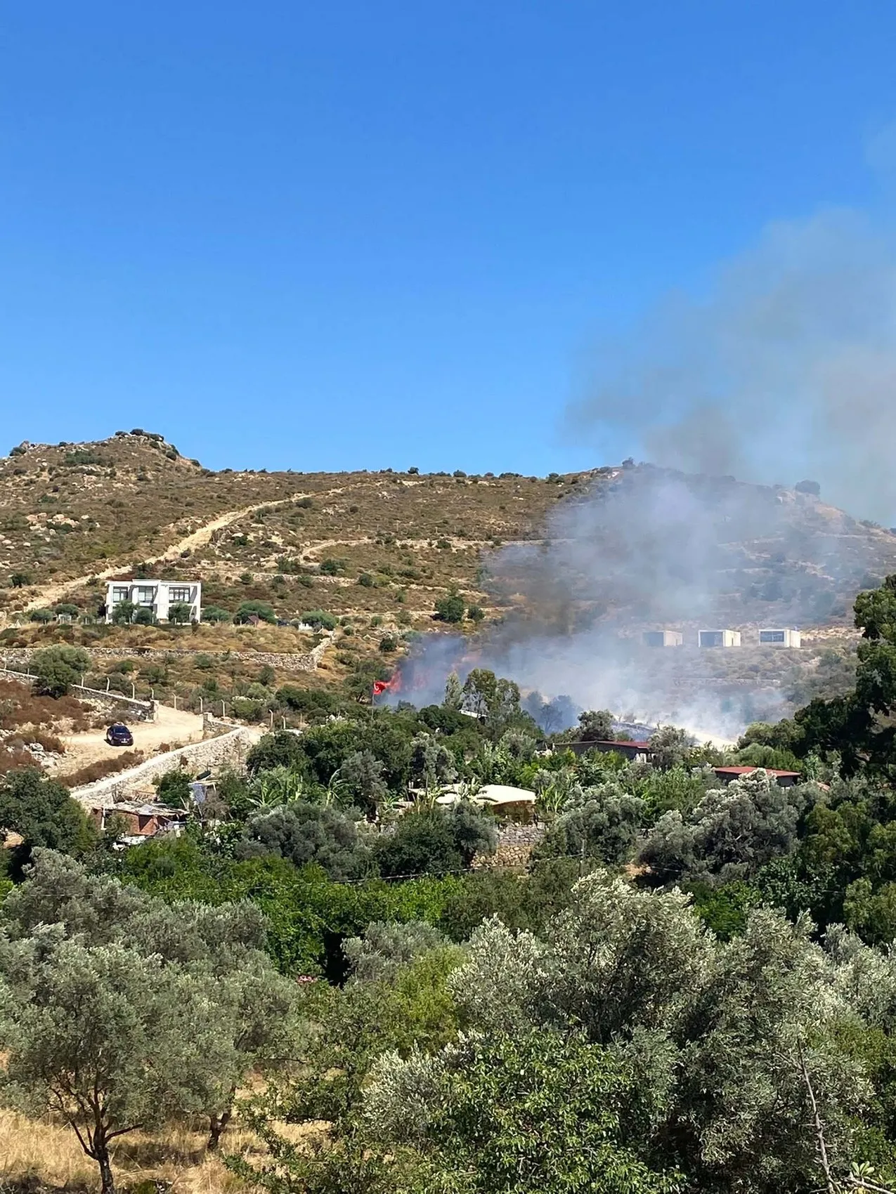 Bodrum Dereköy'de alevler otluk alanda yükseliyor
