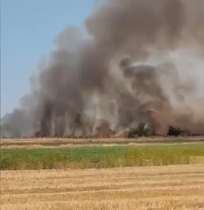 Şanlıurfa'da arazi kavgası Silahlar çekildi, ev ve tarlalar yakıldı