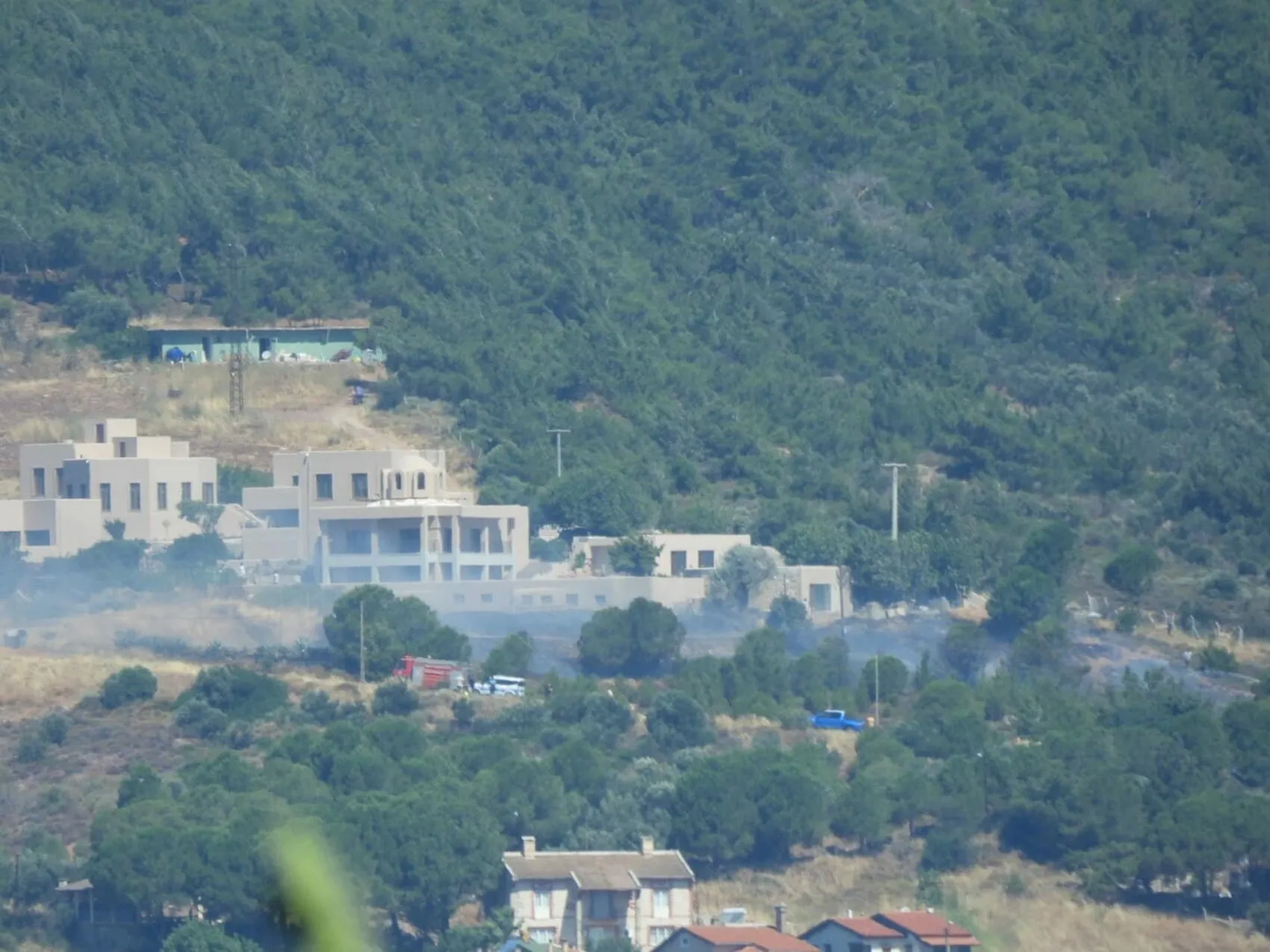 Cunda Adası'ndaki orman yangını korkuttu