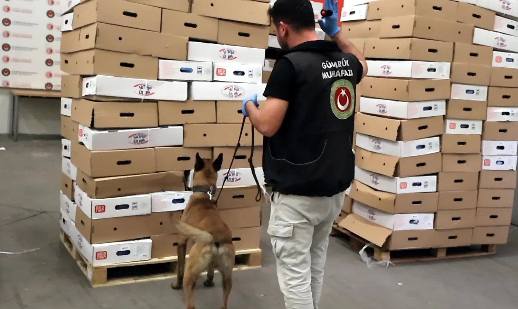 Kapıkule’de dondurulmuş tavukların arasında yarım ton uyuşturucu yakalandı