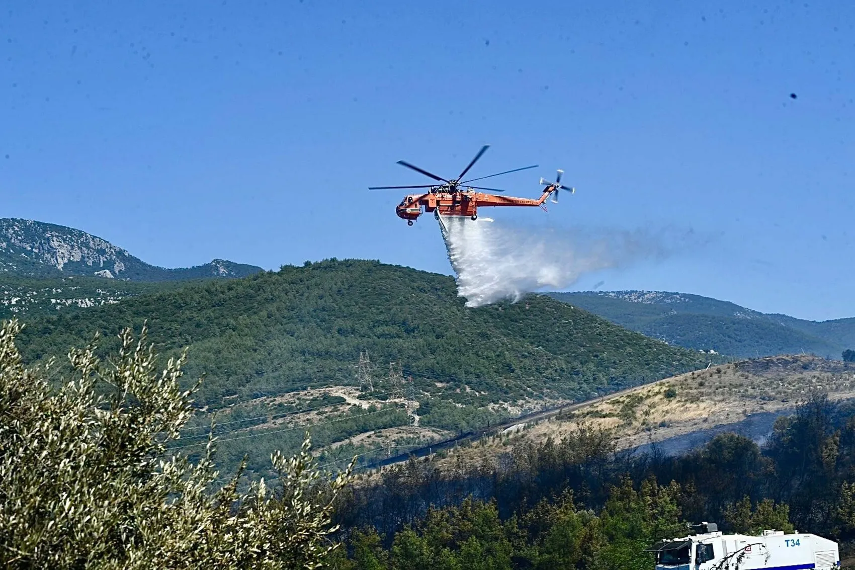 Bornova’daki yangında itfaiye ekipleri küçük bir canı kurtardı